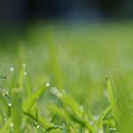 USCPAの気になる合格者数は？どの様に受験が行われている？